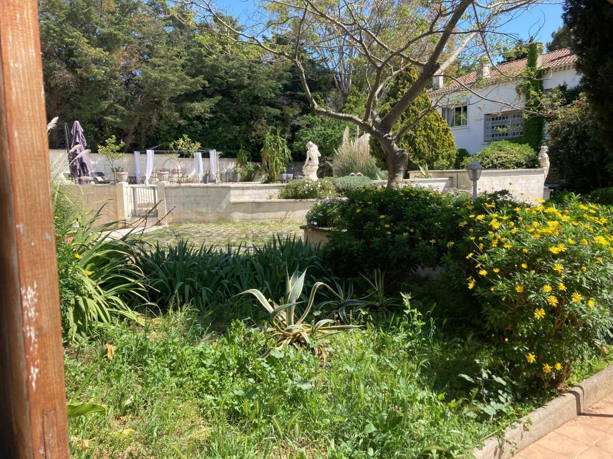 Gîte Encore Un Soir Hyères Extérieur photo